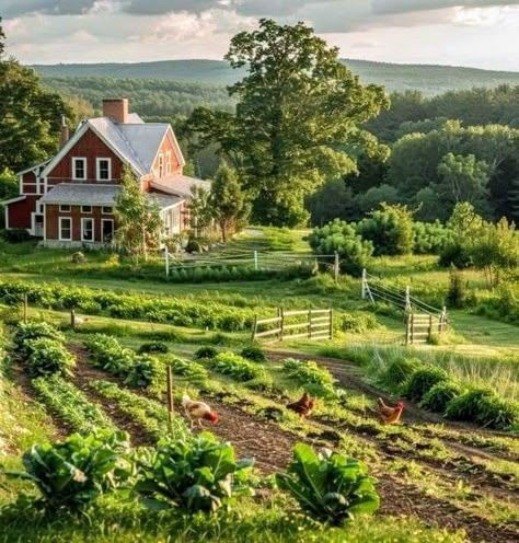 Urban Farm Aesthetic, Vintage Farm Aesthetic House, Farmette Aesthetic, Cottage Home Garden, Farm On A Hill, Fantasy Farm Aesthetic, Cozy Farm Aesthetic, Farm In Europe, Home In The Countryside