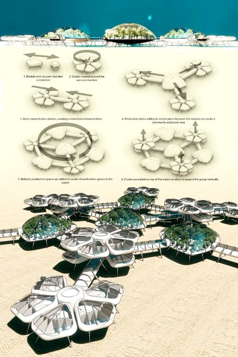 Extreme Habitat Challenge 2020 Jetty Design Architecture, Under Water Architecture, Resort Design Concept, Eco Architecture Concept, Resort Concept Architecture Ideas, Fish Architecture Concept, Pacific Architecture, Biophilic Architecture Concept, Turtle Design Concept Architecture