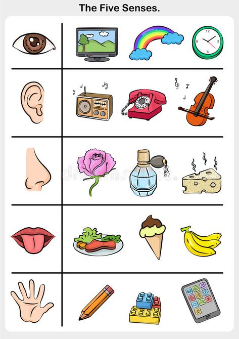 Body Parts Preschool Activities, Five Senses Worksheet, Five Senses Preschool, Senses Preschool, Body Preschool, My Five Senses, Body Parts Preschool, Senses Activities, The Five Senses