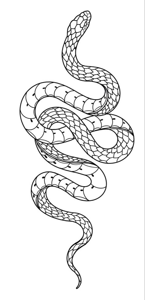 Snake tattoo stencil Snake Tattoo Stencil, Snake Outline, Cobra Tattoo, Tattoo Snake, Baby Tattoo, Serpent Tattoo, Snake Drawing, Snake Tattoo Design, Stencil Outline