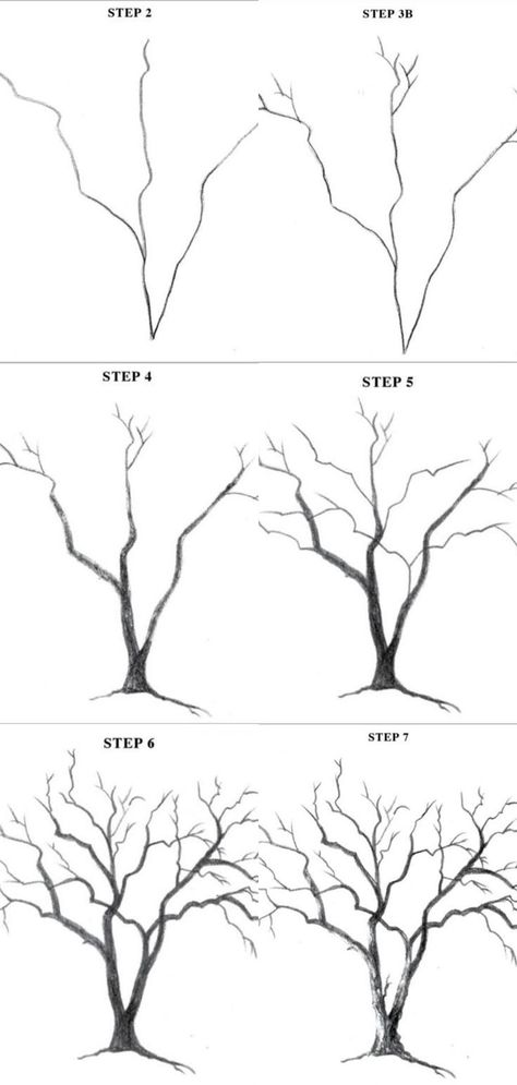 Trees Art Drawing, Trees Drawing Tutorial, Trin For Trin Tegning, 수채화 그림, Pencil Art Drawings, Landscape Drawings, Tree Drawing, Painting Art Projects, Art Drawings Sketches Simple