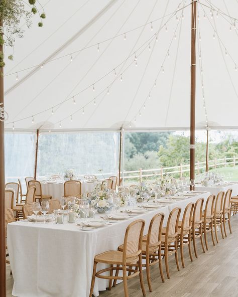 We understood the “something blue” assignment 🩵 🩵🩵 Photos @bsimkova Planning and design @lauren_blushandbowties @blushandbowties Tent @premiertents Florist @kenilworthfloral Rentals @divinefurniturerental @simplybeautifuldecor Stationery @paperandposte #tentwedding #luxurywedding #modernwedding #antibride #stylishwedding #wedding #weddingday #weddingphotography #topweddingphotography #weddings #weddinginspiration #weddingideas #weddingphoto #weddingstyle #dreamwedding #weddingplanner ... Tent Wedding, Toronto Wedding, Stylish Wedding, Something Blue, Wedding Modern, Luxury Wedding, Wedding Styles, Florist, Wedding Planner