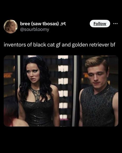 Hunger Games Jokes, Hunger Games Peeta, Hunger Games Memes, Hunter Games, Hunger Games Movies, Hunger Games Fandom, Hunger Games Humor, Katniss And Peeta, Hunger Games 3