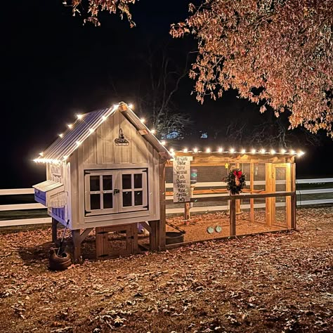 Cute Chicken Coops, Chicken Coop Garden, Chicken Christmas, Backyard Chicken Coop, Backyard Chicken Coop Plans, Chicken Coup, Diy Chicken Coop Plans, Chicken Coop Run, Backyard Chicken Farming