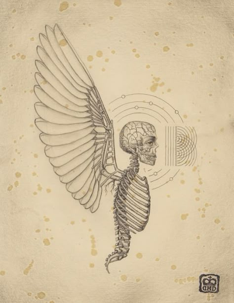 Soul of Science by Daniel Martin Diaz Winged Skeleton, Science Drawing, Esoteric Art, Psy Art, Illustration Photo, Occult Art, Mexican Artists, Desenho Tattoo, Art Brut