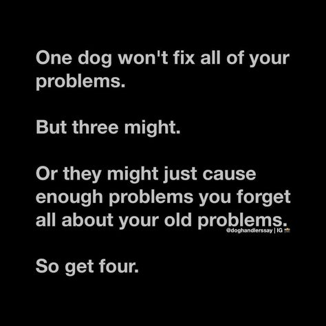 Dog Rescue Quotes, Rescue Quotes, Best Dog Quotes, 4h Projects, A Dogs Purpose, Weiner Dogs, Fancy Dog, Heck Yeah, Dog Projects