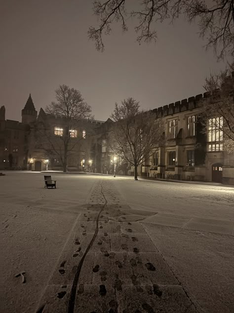 snow on the ground at princeton in mccosh courtyard Prestigious School Aesthetic, Prinston University, Privet School Aesthetic, Princeton University Aesthetic, Princeton Aesthetic, Galaxy Stern, Princeton Campus, Princeton University Campus, Berry College