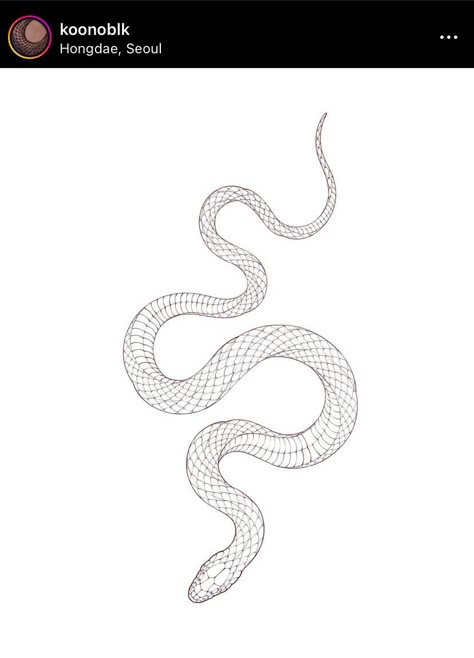 Australian Snake Tattoo, Snake Tattoo Linework, King Snake Tattoo, Snake Design Drawing, Fineline Snake Tattoo, Snake Line Drawing, Snake Flash Tattoo, Dragon Snake Tattoo, Snake Drawing Sketches