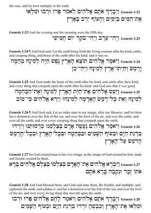 Hebrew English Interleaved Interlinear Bible (OT NT) : Free Download, Borrow, and Streaming : Internet Archive Hebrew Words Bible, Hebrew Pronunciation, The Hebrew Alphabet, Learn Hebrew Alphabet, Hebrew Manuscript, Hebrew Language Words, English To Hebrew, Biblical Hebrew, Hebrew Language