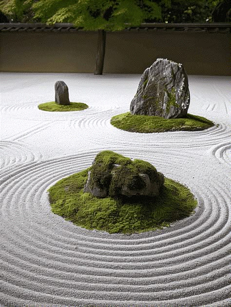 Zen Garden with Precise Raked Sand and Moss-Covered Rocks Japanese Sand Garden, Sand Garden, Zen Garden Ideas, Types Of Gardens, Japanese Rock Garden, Cactus Gardens, Japanese Garden Ideas, Japanese Garden Landscape, Zen Rock