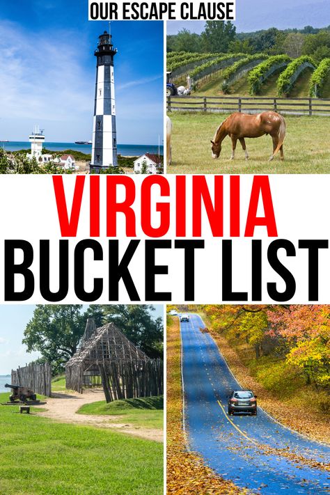 Best Places In Virginia, What To Do In Virginia, Virginia Places To Visit, Best Places To Visit In Virginia, Best Places To Visit In West Virginia, Virginia Family Vacation, Places To Visit In West Virginia, Virginia Things To Do, Virginia Travel Places To Visit