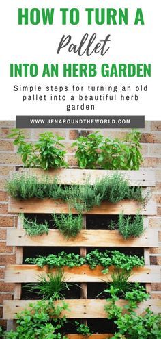 Herb Garden Pallet, Herbs Growing, Pallet Projects Garden, Outdoor Herb Garden, Herb Garden Ideas, Bathroom Organizers, Diy Herb Garden, Garden Pallet, Vertical Herb Garden