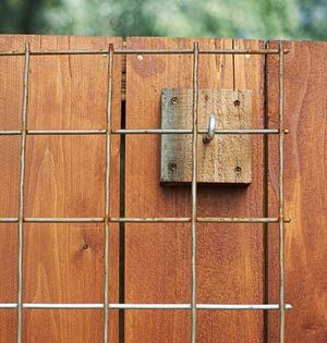 Fence Trellis, Build A Fence, Diy Garden Trellis, Garden Vines, Building A Fence, Have Inspiration, Garden Trellis, Garden Structures, Veggie Garden