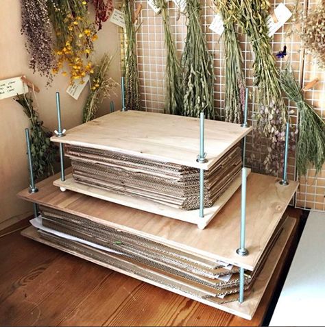 Tension Pole Plant Stand, Hammered Flowers, Plant Press, Preserving Flowers, Pressed Flowers Diy, Dried Flowers Diy, Flower Pressing, Dried Plants, Pressed Flower Crafts