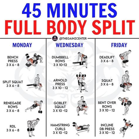 45 Minute Full Body Workout, Full Body Split, Full Body Workout With Weights, Dumbbell Workout Plan, Split Workout, Dumbbell Workout At Home, Workout With Weights, Full Body Weight Workout, Full Body Workout Plan