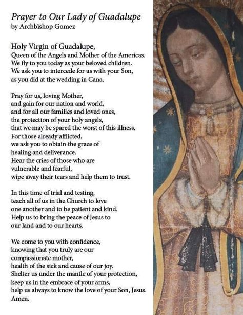 Mary Of Guadalupe, Lady Guadalupe, Catholic Pictures, Gospel Quotes, Mary Catholic, Virgin Of Guadalupe, Spiritual Prayers, Praying The Rosary, Special Prayers