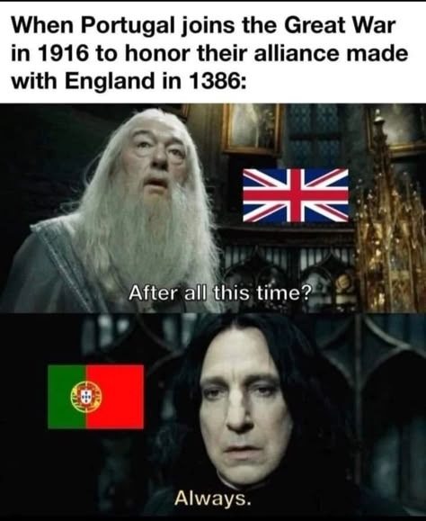 History Humour, Historical Humor, British Memes, History Jokes, Country Memes, History Nerd, History Humor, Star Wars Memes, Really Funny Joke