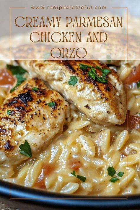 This Creamy Parmesan Chicken and Orzo is a rich and satisfying dish, combining tender chicken and pasta in a luscious creamy sauce. Perfect for a comforting weeknight dinner, it's sure to become a family favorite! Creamy Chicken And Orzo Recipes, Cheap Orzo Recipes, Creamy Parmesan Chicken With Orzo, Creamy Parmesan Chicken Orzo, Creamy Chicken With Orzo, One Pan Creamy Orzo Chicken Sausage, Creamy Parmesan Orzo With Chicken And Asparagus, Garlic Chicken And Orzo, Delicious Orzo Recipes