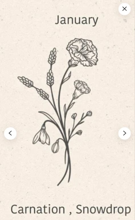 January Tatoos Ideas, Carnation And Snowdrop Flower Drawing, Snowdrop Back Tattoo, Realistic Carnation Tattoo, Jan Birth Flower Tattoo, January Birth Flower Drawing, January Birth Flowers Tattoo, Snow Drop And Carnation Tattoo, Carnations And Snowdrops Tattoo