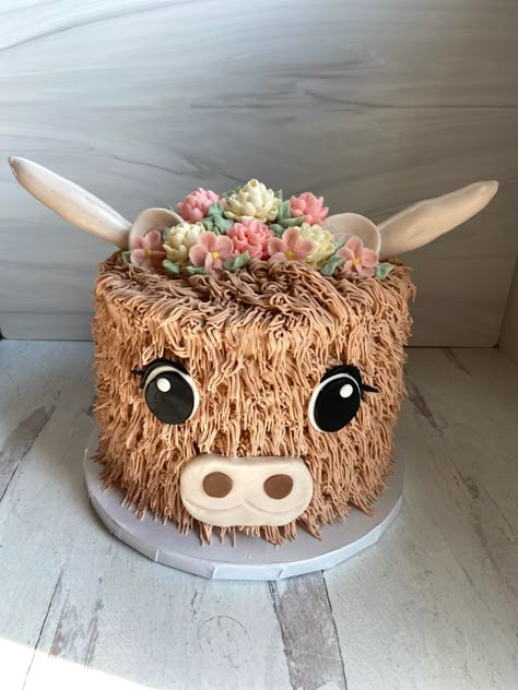 Highlander Cow Cupcakes, Cow Cakes Birthday, Highlander Cow Smash Cake, Western Cake Ideas Birthday, Farm Animal Cakes For Kids, Highland Cow Birthday Cake Ideas, How To Make Highland Cow Cake, Highland Cow Bday Party, Country Cakes Birthday