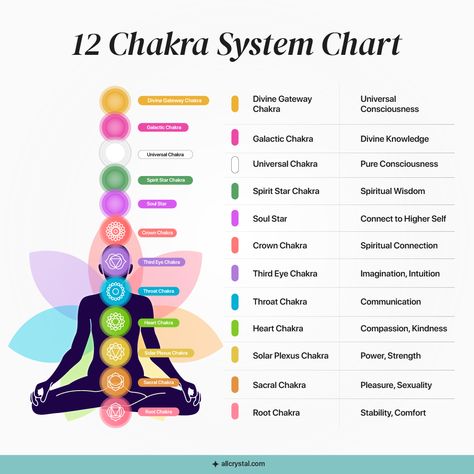 12 Chakras, Chakra Chart, Chakra Health, Chakra Racine, Chakra System, Chakra Yoga, Yoga Nidra, Les Chakras, Healing Meditation