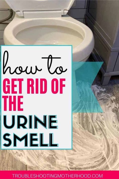 Wondering how to remove the horrible urine smell from your bathroom? Follow this quick guide on how to finally get the pee smell our of your bathroom once and for all! Quick trick for cleanup too! #stinkybathroom #boymom #peesmell #urinesmell #bathroomstinks Natural Urine Odor Remover, Pee Smell Out Of Wood Floors, Urine Smell Out Of Hardwood Floors, How To Get Rid Of Urine Smell In Toilet, Toilet Smells Like Urine, Homemade Urine Odor Remover, Bathroom Smells Like Urine, Get Rid Of Urine Smell In Bathroom, How To Remove Urine Smell From Bathroom