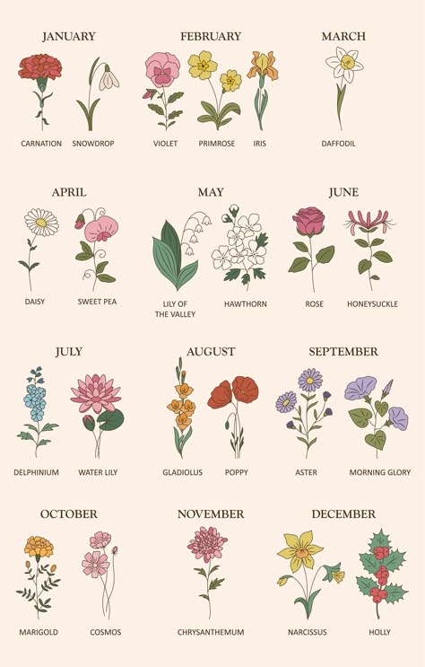 Flower For July Birth, Flowers For Every Month, Flower Of Birth Month, Flower For Months, Flowers Of Months, Flower Of Month Births, Flowers By Month Birthday, Flowers Of Each Month, July Flower Birth Month