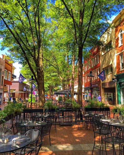 The historic pedestrian Downtown Mall in Charlottesville, Virginia is  eight blocks of restaurants, shops, music venues, and more. Virginia Travel, Virginia Is For Lovers, Charlottesville Virginia, Au Pair, Virginia Usa, Charlottesville Va, University Of Virginia, Richmond Virginia, Travel Usa