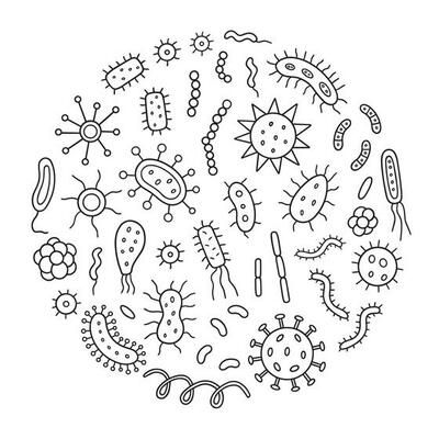 Pathogenic virus,germs, microorganisms,microbe isolated on light background.Collection of colored cartoon viruses and bacteria with bright multicolored text.Vector flat illustration. 11448064 Vector Art at Vecteezy Microorganisms Art, Bacteria Drawing, Tlm Ideas, 2024 Illustration, Life Milestones, Random Patterns, Science Stickers, Hand Drawn Vector Illustrations, Sketch Style