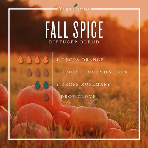 Yl Diffuser Blends, Fall Essential Oil Blends, Diffuser Scents, Fall Essential Oils, Fall Diffuser Blends, Eo Blends, Essential Oil Combinations, Doterra Essential Oils Recipes, Essential Oil Diffuser Blends Recipes