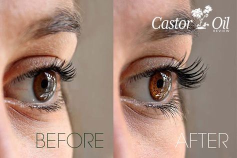 Before and After: Using Castor Oil for Eyelashes Caster Oil Eyelashes Before And After, How To Apply Castor Oil To Eyelashes, Castor Oil For Lashes Before And After, Castor Oil Lashes Before After, Castor Oil Eyelashes Before And After, Castor Oil Before And After, Castor Oil For Eyelashes, Oil For Eyelash Growth, Healthy Eyelashes