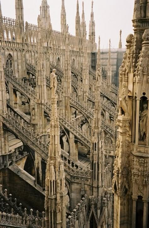 Duomo di Milano Cathedral / Milan, Italy Milan Cathedral, Cathedral Church, Gothic Architecture, Bergamo, Milan Italy, Beautiful Architecture, Beautiful Buildings, Pretty Places, Amazing Architecture