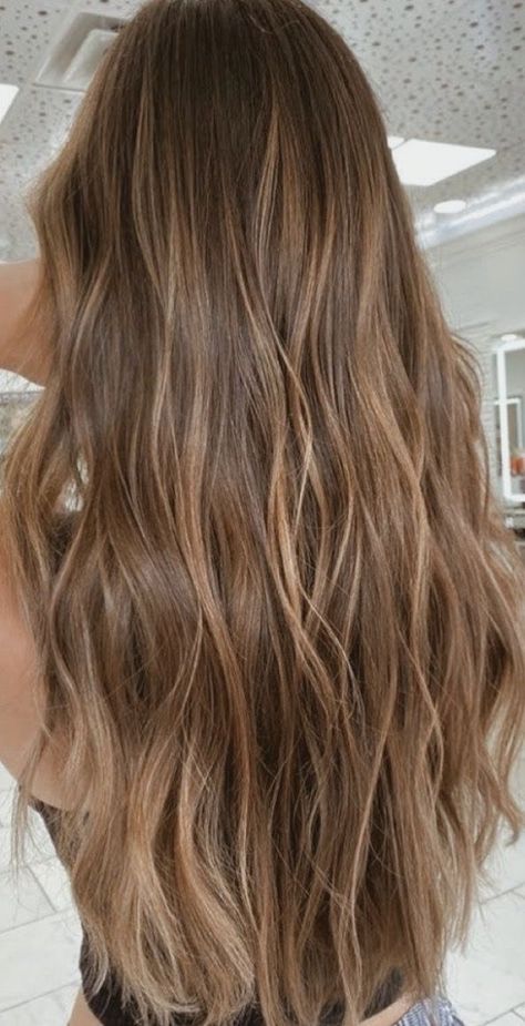 Subtle Balayage Light Brown Hair, Light Brown Hair With Small Highlights, Brown Hair With Slight Highlights, Lightening Brown Hair, Beachy Brunette Hair Sun Kissed, California Highlights Hair, Light Brown Hair Inspo Color, Sunkissed Light Brown Hair, Brown Hair With Warm Blonde Highlights