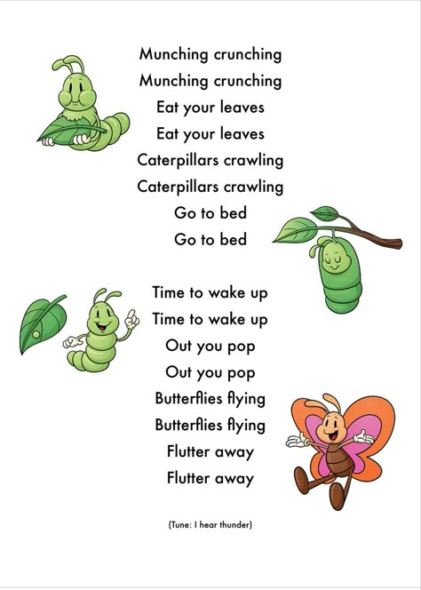 Caterpillar Preschool Theme, Caterpillar Crafts For Toddlers, Caterpillar Toddler Activities, Caterpillar Life Cycle, Caterpillar Life Cycle Preschool, Butterfly Toddler Activities, Butterfly Cycle Preschool, Caterpillar Butterfly Craft, Bugs And Butterflies Preschool