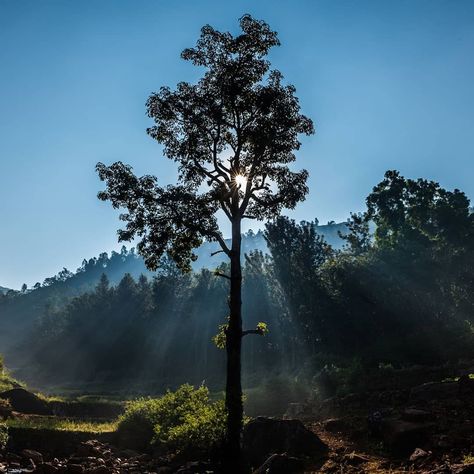 Araku Valley.  https://renghaholidays.com/packages/171/Explore-the-natural-beauty-of-Araku-Valley-2N-3D  Araku Valley is a hill station and valley region in the southeastern Indian state of Andhra Pradesh. It's surrounded by the thick forests of the Eastern Ghats mountain range. The Tribal Museum is dedicated to the area's numerous indigenous tribes, known for their traditional Dhimsa dance, and showcases traditional handicrafts. A miniature train runs through Padmapuram Gardens, with its sculpt Araku Valley Photography, Araku Valley, Miniature Train, Valley Photography, India Travel Places, Indigenous Tribes, Hill Station, Vision Boards, Travel Places