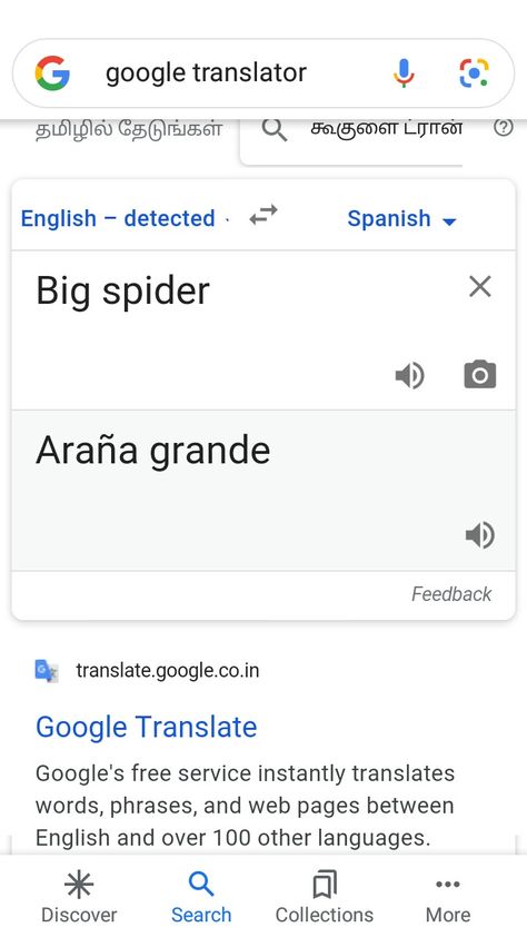 If you scearch for Big spider in spanish the meaning is 😂😂😂😂 Spanish Curse Words, Words In Spanish, Big Spiders, Google Translate, Curse Words, In Spanish, The Meaning, Meant To Be, Collage