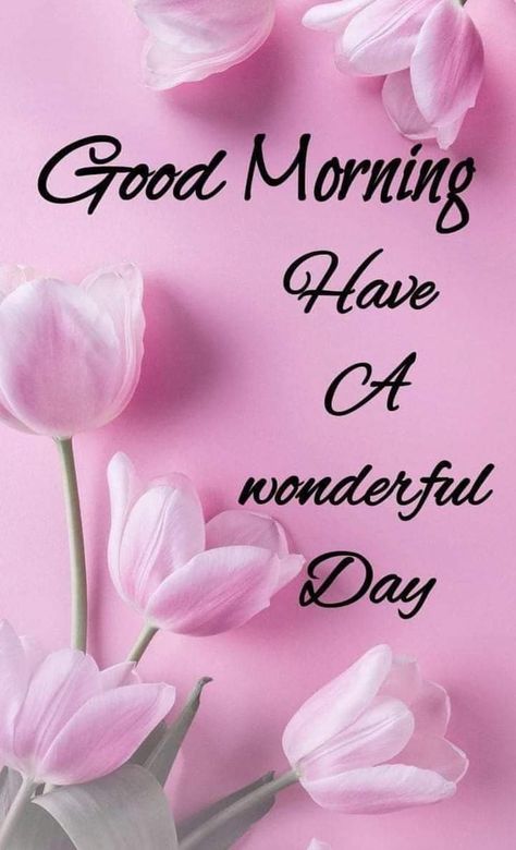 Sweet Good Morning Images, Cute Good Morning Gif, Good Night Prayer Quotes, Good Morning Massage, Inspirational Good Morning Messages, Lovely Good Morning Images, Good Morning Greeting Cards, Good Morning Coffee Images, Good Morning Sweetheart Quotes