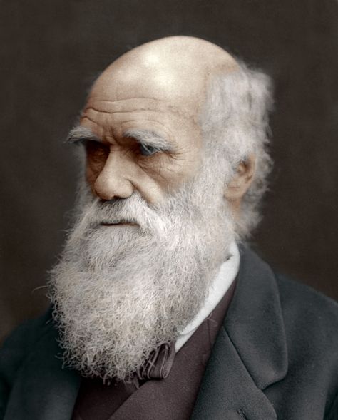 A look at some interesting facts that usually aren't found in textbooks about the man behind the Theory of Evolution and Natural Selection. History Of Psychology, Hms Beagle, Epic Beard, Theory Of Evolution, Natural Selection, Charles Darwin, Beard Styles, Old Man, Famous People