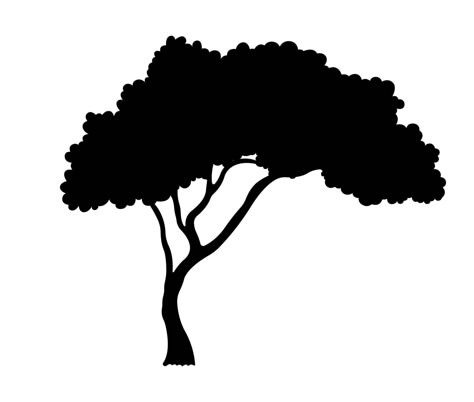 African Tree Silhouette, branch And Leaves Illustration. Safari Tree Silhouette, African Silhouette Art Animals, Africa Silhouette Art, Silhouette Of Trees, Acacia Tree Silhouette, Tree Siloutte, Tree Shadow Drawing, Tree Silloutes, Jungle Plants Drawing