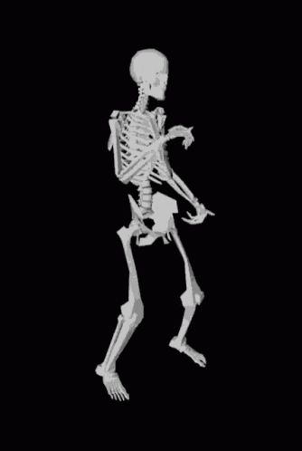 Skeleton Dance GIF - Skeleton Dance Swag - Discover & Share GIFs - Thor Gift (thorgift.com) - If you like it please buy some from ThorGift.com Skeleton Gif, Meme Search, Skeleton Pics, Silly Skeleton, Friday Dance, Happy Halloween Pictures, Dance Gif, Funny Dancing Gif, Skeleton Dance