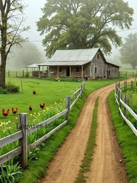 Farm Pictures Aesthetic, Rural Photography, Wooden Fences, Farm Living, Rural Living, Rural America, Morning Mist, Rural Scenes, Farms Living