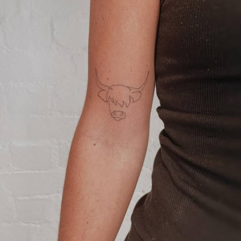 Shaggy Cow Tattoo, Highland Cow Fine Line Tattoo, Highland Cow Tattoo Small Simple, High Land Cow Tattoo, Tiny Highland Cow Tattoo, Brown Cow Tattoo, Minimalistic Cow Tattoo, Single Line Cow Tattoo, Small Cow Tattoo For Women