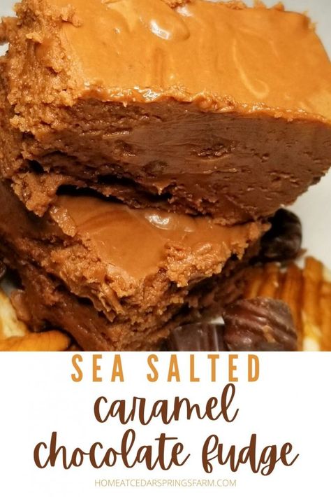 Chocolate Caramel Fudge Recipe, Salted Caramel Chocolate Fudge, Bacon Broccoli Salad, Bacon And Broccoli, Chocolate Caramel Fudge, Easy Salted Caramel, Chocolate Fudge Recipe, Homemade Fudge Recipes, Fudge Recipes Chocolate