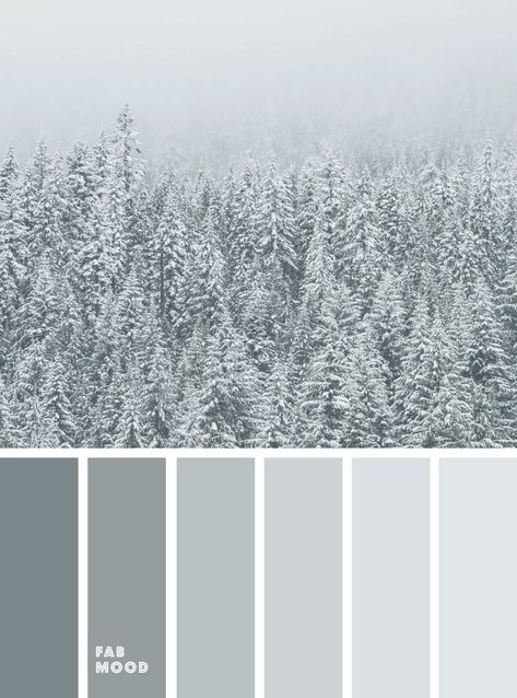 Beautiful winter color palette inspiration : Misty grey green color scheme Colour Palette Inspiration Grey, Silver Mist Color Palette, Cool Grey Palette, Silver Color Palette Colour Schemes, Silver Pallete Color, Cool Grey Color Palette, Grey Palette Colour Schemes, Grey Colour Pallete, Grey Pallet Colour Palettes