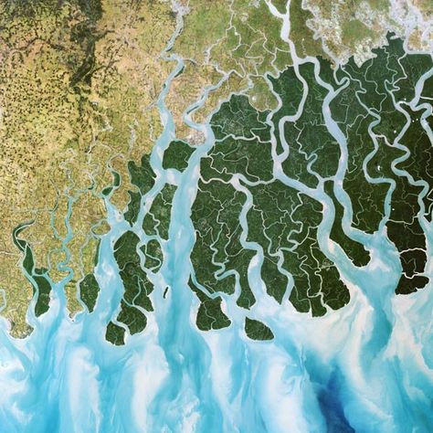 A delta in the Ganges, Bangladesh Africa Nature, Ganges River, Salt Water Fishing, Bay Of Bengal, River Delta, Science Photos, Satellite Image, Aerial Photo, Photography Pictures