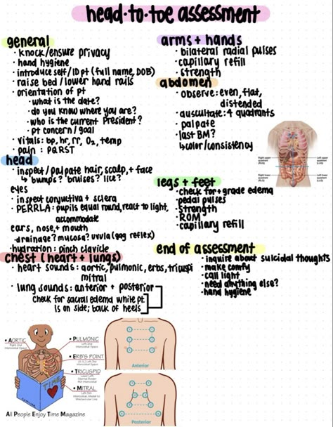 Nursing School Assessment, Cpr Notes Pretty, Nursing Fundamentals Safety, How To Write Nursing Notes, Focused Assessment Nursing, Safety Nursing Notes, Nurse Must Haves Student, 1st Day Of Nursing School, Full Body Assessment Nursing