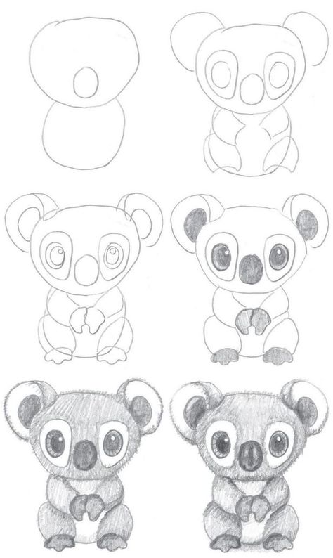 Draw A Koala, Ear Shapes, Leg Shapes, Step By Step Sketches, Cool Pencil Drawings, Flower Art Drawing, Easy Doodle Art, Drawing Tutorial Easy, Curved Lines