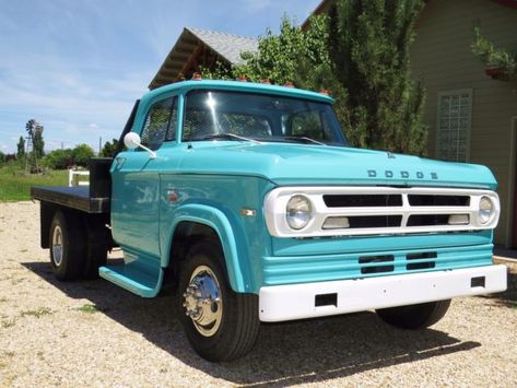 1971 Dodge 300 1-ton Flatbed Truck with Dump Bed Dodge 300, Dodge Pickup Trucks, Old Dodge Trucks, Flatbed Truck, Truck Flatbeds, Dodge Pickup, Dodge Power Wagon, Dodge Truck, Power Wagon