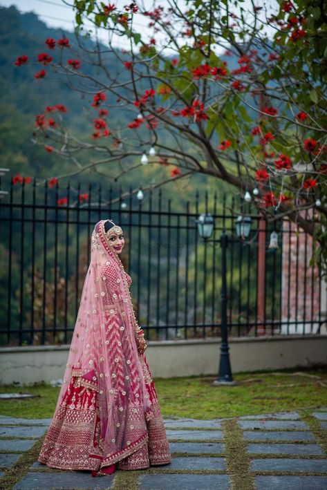 Photo of Red lehenga with contrasting pink dupatta on the head Red Bridal Lehenga With Pink Dupatta, Bridal Choli, Lehenga Pink, Pink Bridal Lehenga, Pink Dupatta, Lehenga Red, Bridal Dupatta, Bridal Lehenga Collection, Bride Portraits