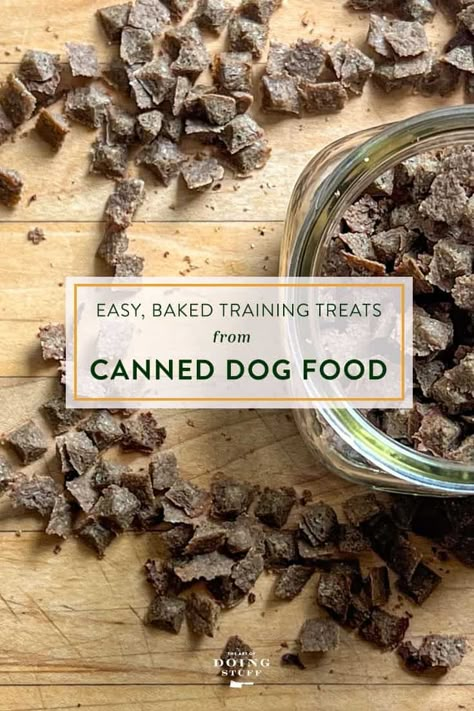 Make Easy Training Treats - with Canned Dog Food Homemade Training Treats, Food In 5 Minutes, Sweet Potato Dog Chews, Dog Training Treats Recipe, Puppy Training Treats, Soft Dog Treats, Best Treats For Dogs, Dog Biscuits Homemade, Easy Dog Treats